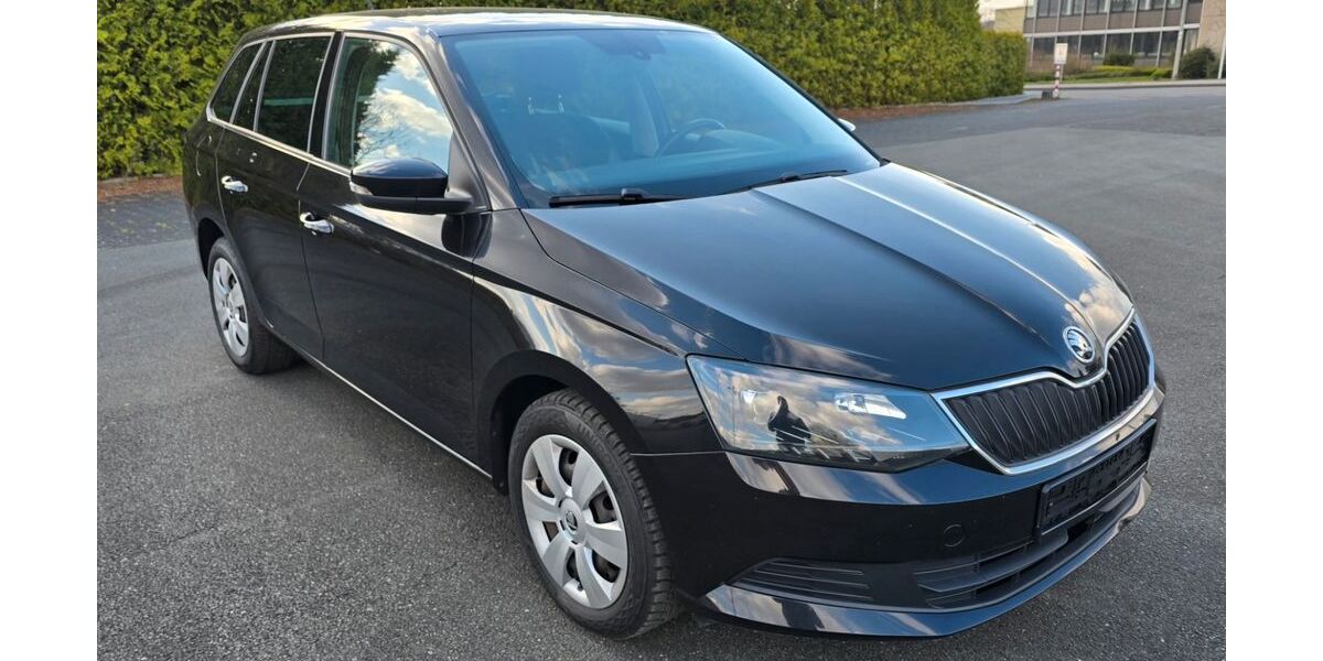 Skoda Fabia 81.078 km 10.800 &euro; Horn-Bad Meinberg 32805