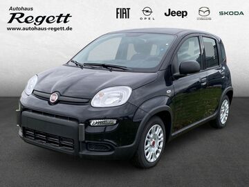 Gebrauchte Fiat Panda