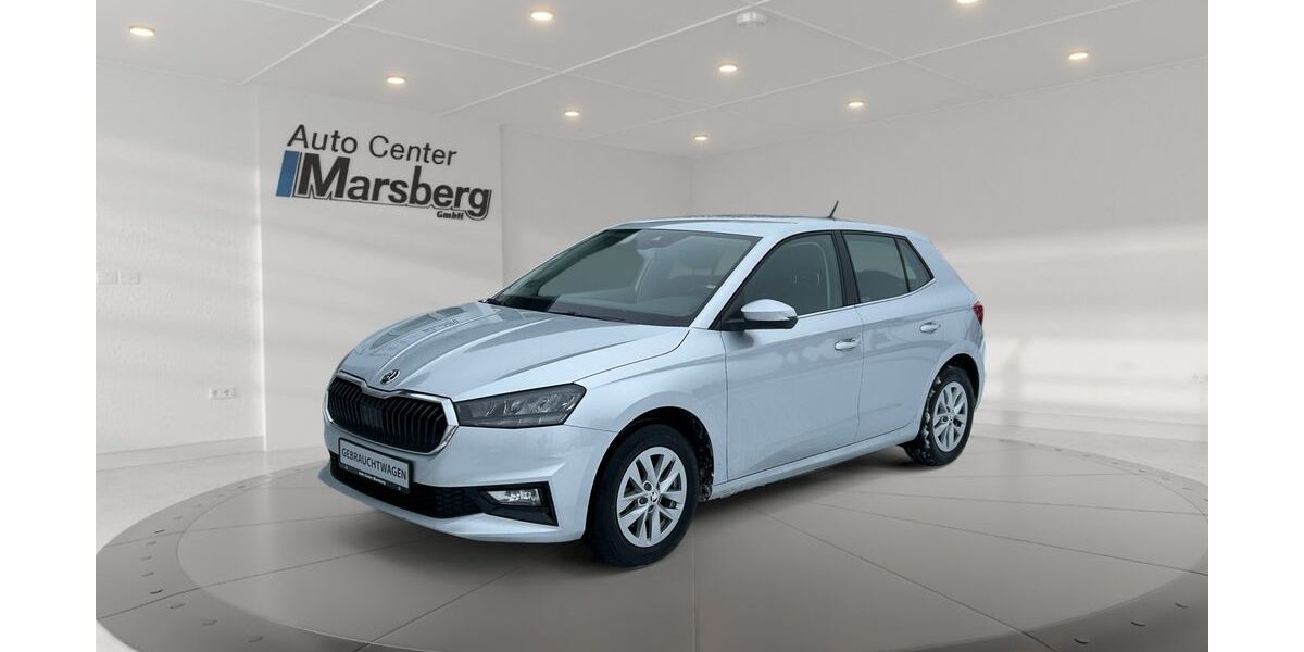 Skoda Fabia 18.382 km 17.490 &euro; Marsberg 34431