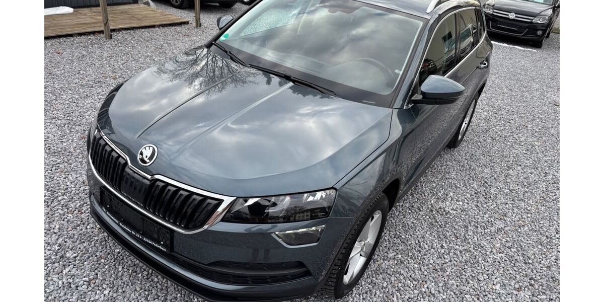 Skoda Karoq 92.235 km 18.590 &euro; Paderborn 33104