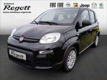 Gebrauchte Fiat Panda