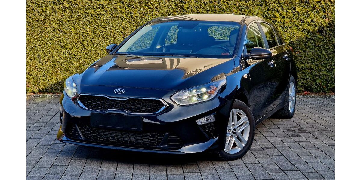 Kia ceed / Ceed 40.000 km 16.999 &euro; Bad Lippspringe 33175