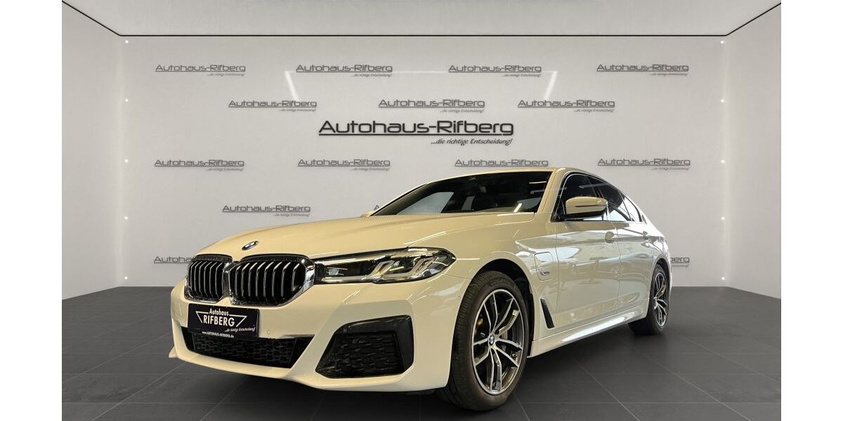 BMW 530 132.500 km 31.890 &euro; Detmold 32758